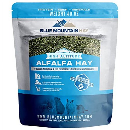 Blue Mountain Hay | 15 oz. Fresh Alfalfa Hay | Available in 15 oz. & 40 oz. Pouches | Nutritious, Delicious Meal Or Snack for Rabbits, Guinea Pigs, Hamsters, Gerbils, Rats, and Other Small Pets