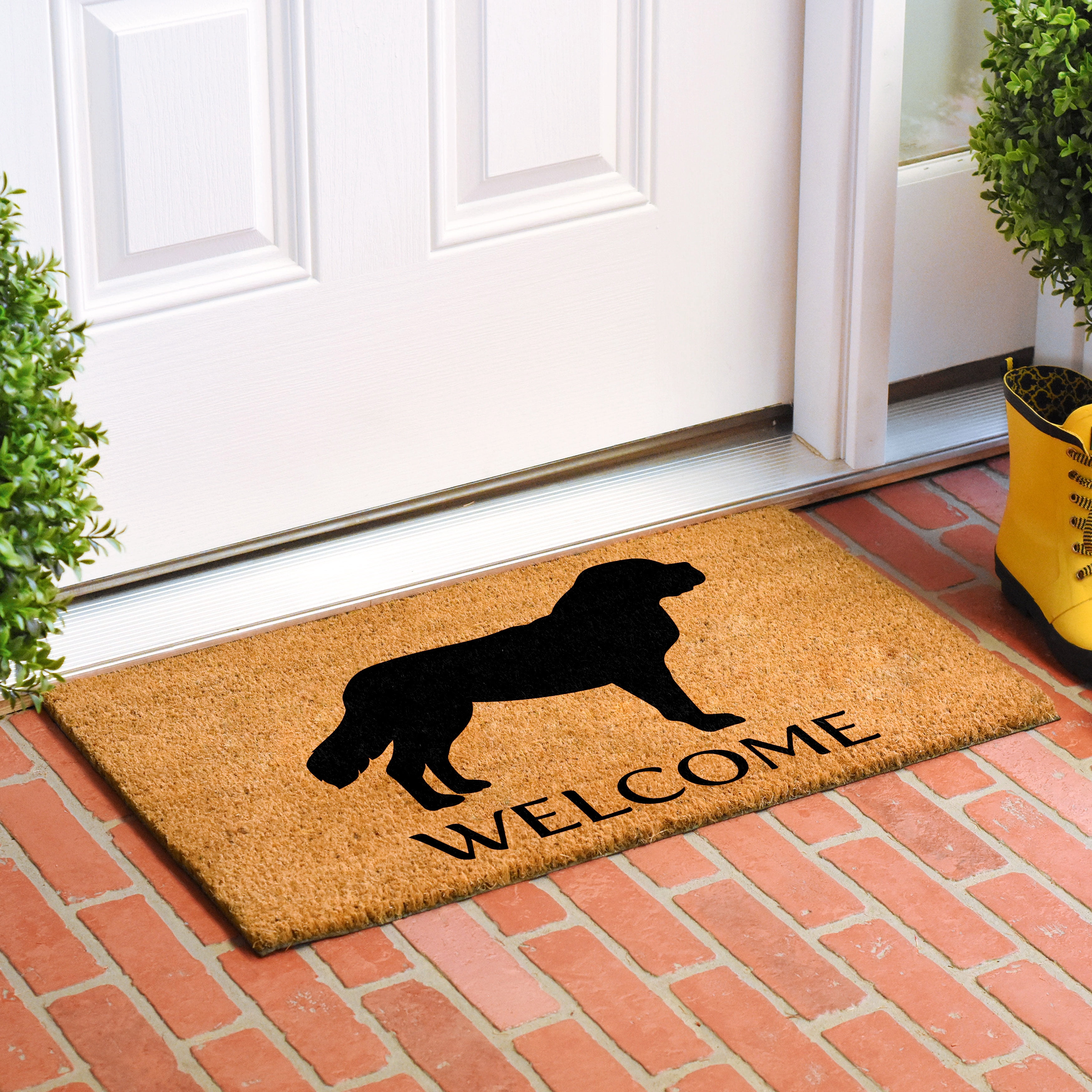 Calloway Mills 106951729 St. Berbard Doormat 17" x 29"