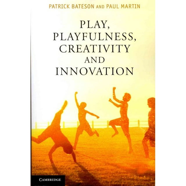 Play, Playfulness, Creativity and Innovation, Paul Martin, Patrick Bateston Paperback