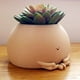 thumbnail image 5 of Macetas bonitas de 4/5 pulgadas, macetero de flores de mesa para el hogar, Cactus suculento, 5 of 8
