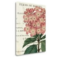 thumbnail image 2 of Tangletown Fine Art Bicolor Phlox Botany By Sue Schlabach,  Gallery Wrap Canvas 28 x 23, 2 of 2