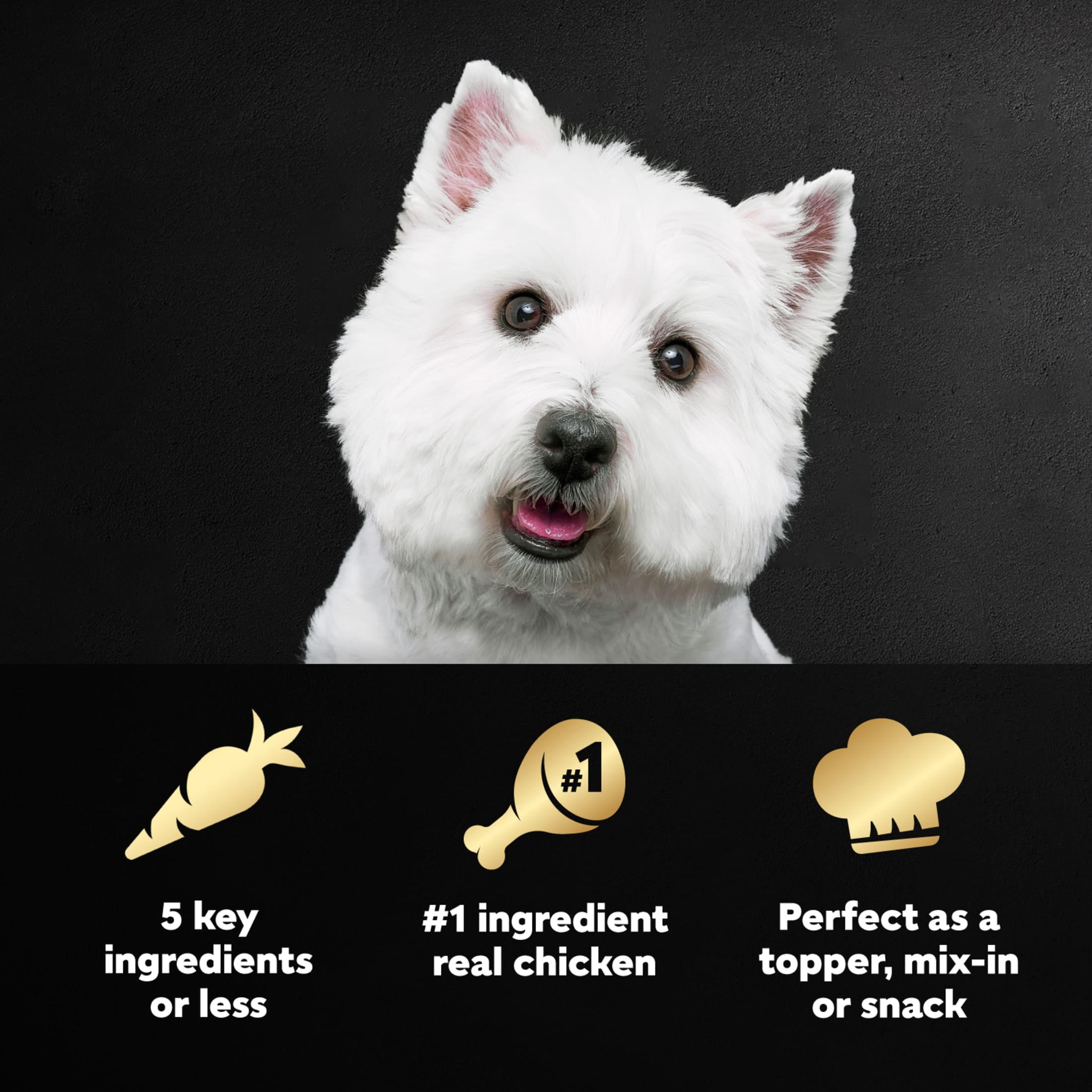 Cesar Simply Crafted Chicken, Carrots, Potatoes & Peas Wet Dog Food Meal Topper, 1.3 oz Tub