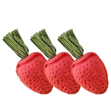3 Pcs Hamster Teething Hamster Chewing Plaything Hamster Stick Rabbit Biting Toy Hamster Chewing Toy
