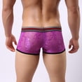 thumbnail image 4 of Pantalones cortos transparentes con de encaje para hombre Calzoncillos tipo baúl Ropa interior de tiro bajo METRO Baoblaze Ropa interior sexy, 4 of 8