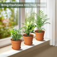 thumbnail image 4 of 10 Pack 6 Inch Plant Pots with Drainage and Saucers, Plastic Flower Pots for Indoor and Outdoor Plants, Stackable Nursery Planters for Houseplants and Herbs, Terracotta, 4 of 6