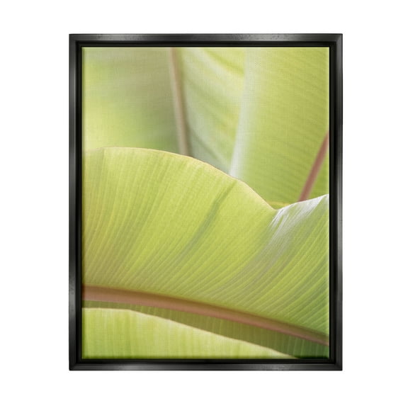 Stupell Modern Botanical Close Up Leaf Botanical & Floral Photography Black Floater Framed Art Print Wall Art