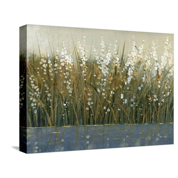 Art.com By the Tall Grass II Stretched Canvas Print Wall Art by Tim O'toole, 16" x 12"
