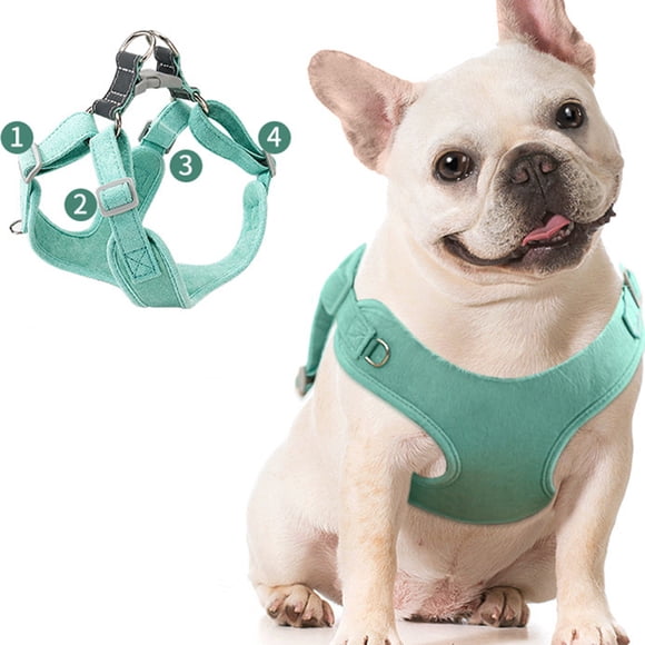 SWETRACE 1Jgo Correa Para Perro Resistente Color Con Reflectante Ideal Para Y Entrenamiento