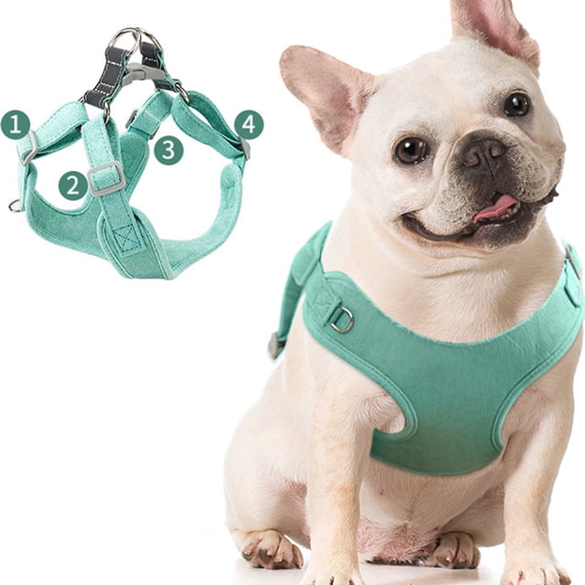 SWETRACE 1Jgo Correa Para Perro Resistente Color Con Reflectante Ideal Para Y Entrenamiento