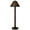 Walnut Wicker, variant on Patio Living Concepts Tahiti II 60" Outdoor Floor Lamp with Bronze Tube Body & Walnut Shade