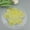 Yellow, variant on 100PCS 2-in Round Shells Pieces with 2 Hole, Polished Round Shell Slice - Capiz Shells Pearl Coin Beads - Handmade Decorative Accessories for DIY(Purple)