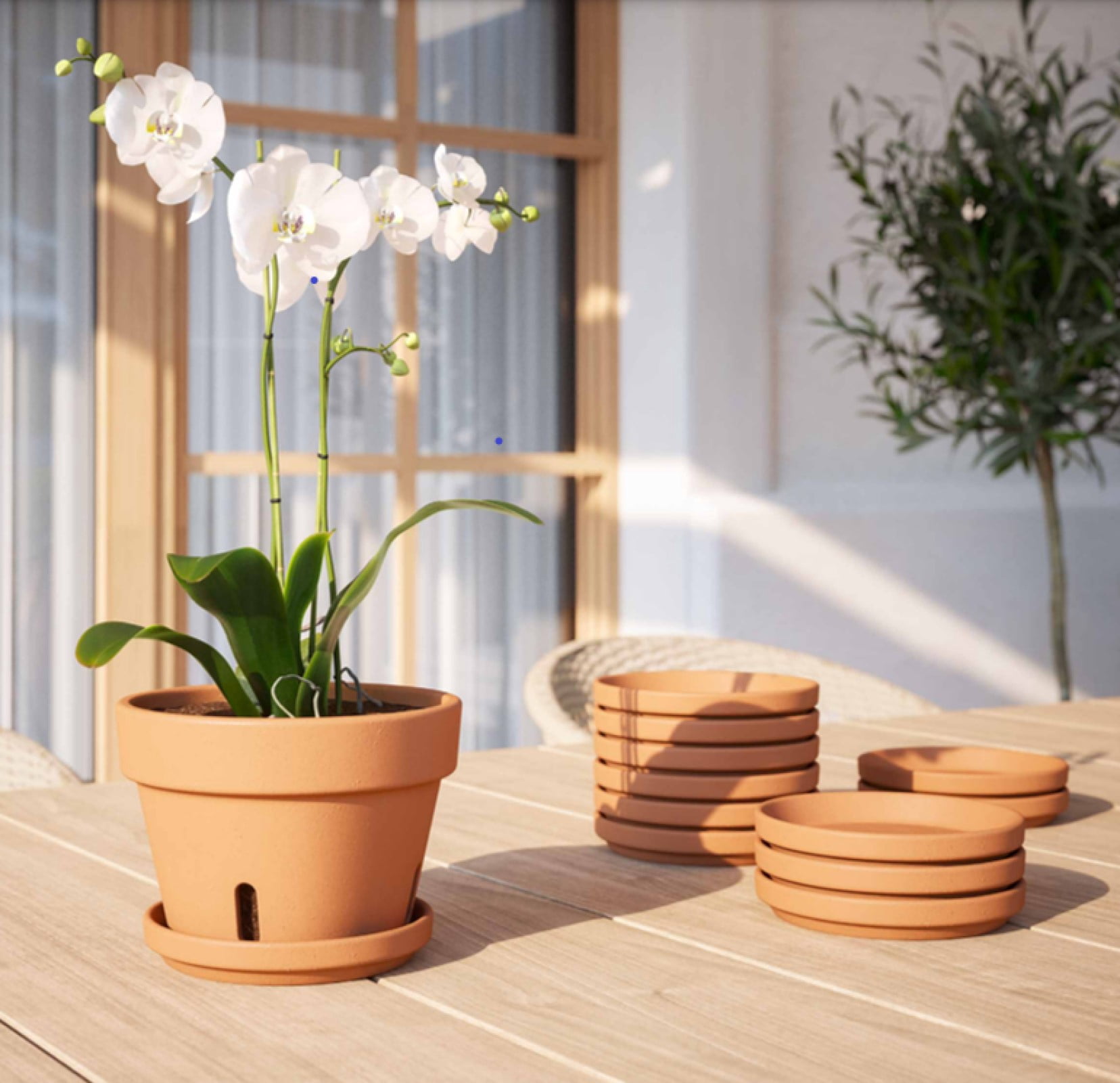 Artevasi 8 inch Round Terracotta Clay Plant Saucer