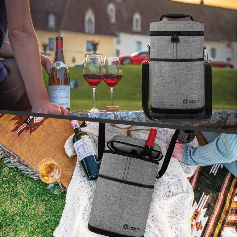 Portable wine cooler bag best sale with spout