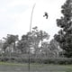 thumbnail image 3 of 7m Telescopic Pole Extendable Flying Hawk Kite Bird Repeller Scarer, 3 of 5