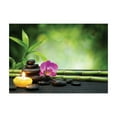 thumbnail image 1 of Ambesonne Spa Themed Jigsaw Puzzle, Orchid Leaves and Rocks, Heirloom-Quality Fun Activity for Family Durable Cardboard, 1000 pcs, Apple Green and Fuchsia, 1 of 5