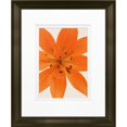 thumbnail image 1 of Timeless Frames 55300 8 x 10 in. Tiger Lilly in Bloom Photo Frame, 1 of 1