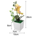 thumbnail image 2 of Stunning Potted Butterfly Orchid Flowers for Home and Office 26x10x10cm, 2 of 6