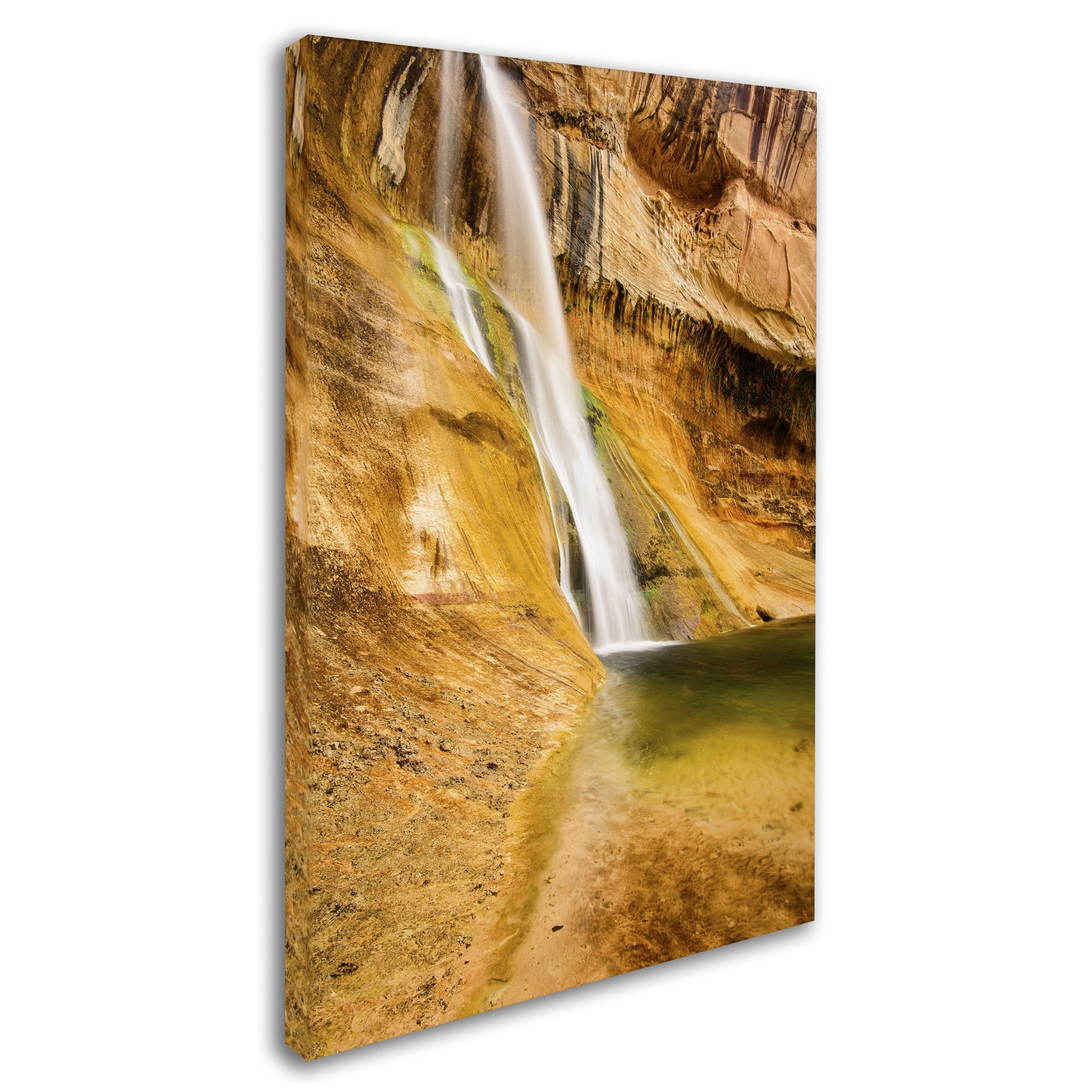 Trademark Fine Art "Desert Oasis" Canvas Art by Michael Blanchette Photography