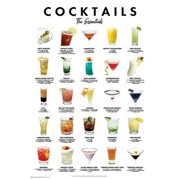 Cocktails Cool Wall Decor Art Print Poster 24 x 36