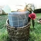 thumbnail image 5 of Manta de picnic impermeable, tapete para exteriores, tapete de playa grande de 78 x 78 para acampar y picnics, diseño plegable, ligero y portátil con protección impermeable y a prueba de, 5 of 8