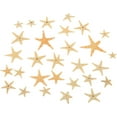 thumbnail image 6 of Starfish Assortment (30Pc) - Craft Supplies - 30 Pieces, 6 of 7