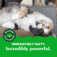 thumbnail image 2 of Gâteries dentaires pour chats adultes Greenies, saveur de saumon aromatique, 2 of 13
