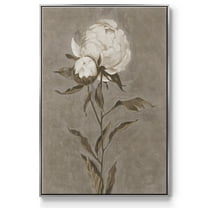 Pretty as a Peony II Framed Premium Gallery Wrapped Canvas - Ready to Hang - 17 x 25 - Silver Floating Frame