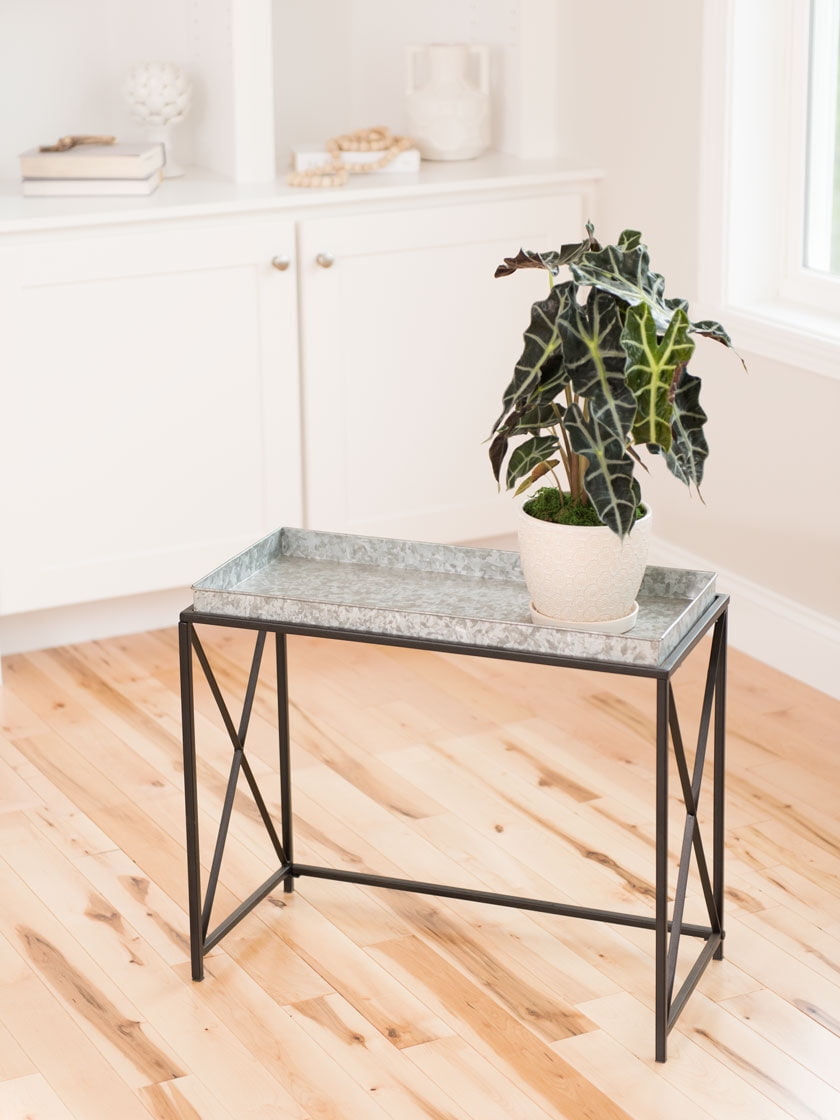 Plant Stand with Galvanized Tray