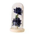 thumbnail image 4 of AMLESO Creative Flower Arrangement Crafts with Light Flowers Glass Cover Decoration for Blue, 4 of 8