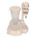 thumbnail image 1 of Dispensador de agua colgante para mascotas, cuencos de alimentación con biberón de agua para perros elevables automáticos para perros y gatos, 1 of 13