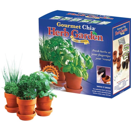 Chia Pet Gourmet Herb Garden Easy To Do And Fun To Grow Novelty