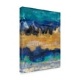 thumbnail image 2 of Trademark Fine Art 'Surf I' Canvas Art by Alicia Ludwig, 2 of 4