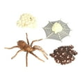 thumbnail image 3 of Yinanstore Simulation d'Animaux, Cycle de Vie d'Arthropode, Figurines d'Action Miniatures, Jouets Éducatifs Scientifiques, 3 of 8