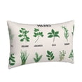 thumbnail image 2 of Bixox Herbs Printed Pillow Protector,Super Soft Ideal for Home,Guests,Rentals - 20"x30", 2 of 8