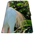 thumbnail image 2 of PKQWTM A male cattle egret perching in a tree in a Florida wetland Book Cover Book Protector Book Sleeve Book Pouch Book Bag 6x9 inch, 2 of 4