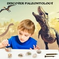 thumbnail image 6 of Dinosaur Toys for Kids, Dino Fossil Dig Kit, Dinosaur Eggs Excavation Kit, 6 of 7