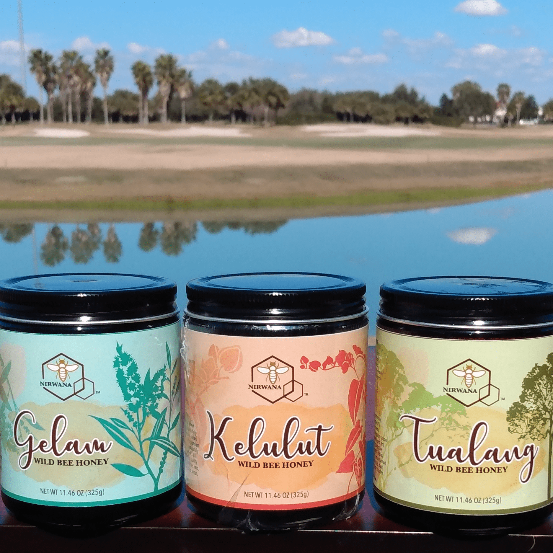 Tualang Raw Wild Bee Honey Apis Dorsata Multifloral Natural 100% Pure Unpasteurized Rare Premium Award Winning