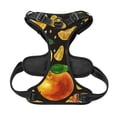 thumbnail image 5 of Gaeub Tangerine Gaeub Tangerine No Pull Dog Harness, Secure and Adjustable Pet Vest for Outdoor Activities - Medium, 5 of 9