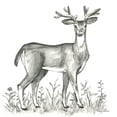 thumbnail image 2 of Wilson, Kelsey 12x12 Black Ornate Wood Framed with Double Matting Museum Art Print Titled - Watercolor Pencil Forest XI-Deer 2, 2 of 4