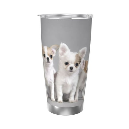 

Chihuahua Puppies 20 Oz Water Bottle Insulated Tumblers Stainless Steel Cups Double Wall Tumbler with Lid