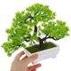 thumbnail image 5 of unbranded 2Ud Árbol Bonsái Artificial De Pino En Maceta Para De Hogar Oficina Y Tienda, 5 of 6