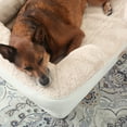 thumbnail image 2 of TOWN & COUNTRY EVERYDAY CuddleTown Comfy Solid Bolster Sofa Pet Bed, Supportive & Calming Egg Crate Foam, Water Repellent, Non-Slip Bottom, Machine Washable Cover, Blue, Large 35"x25"x8", 2 of 6