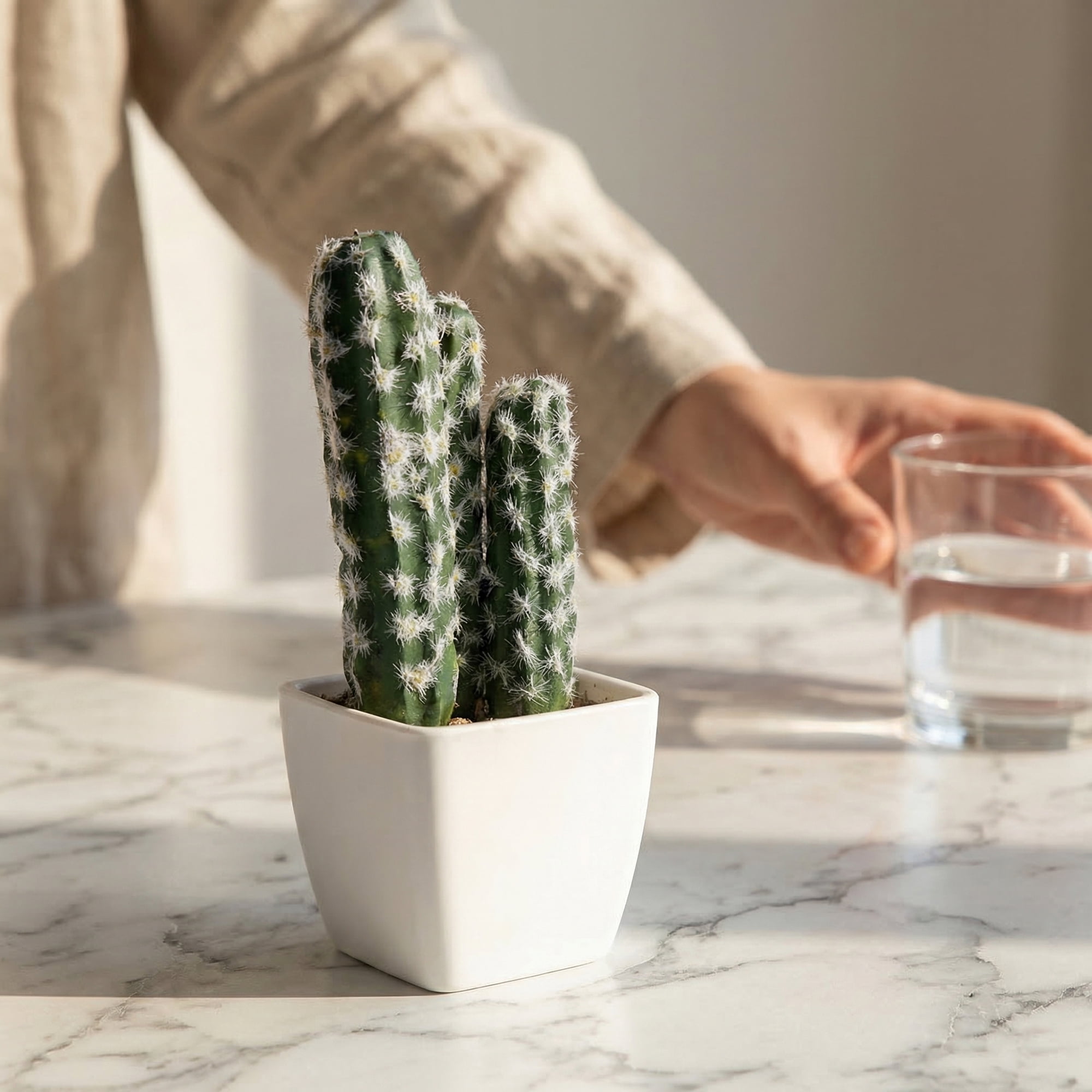 Unique Bargains Artificial Cactus Plant Pot Three-Headed Cactus 3.5"L x 3.5"W x 6.3"H