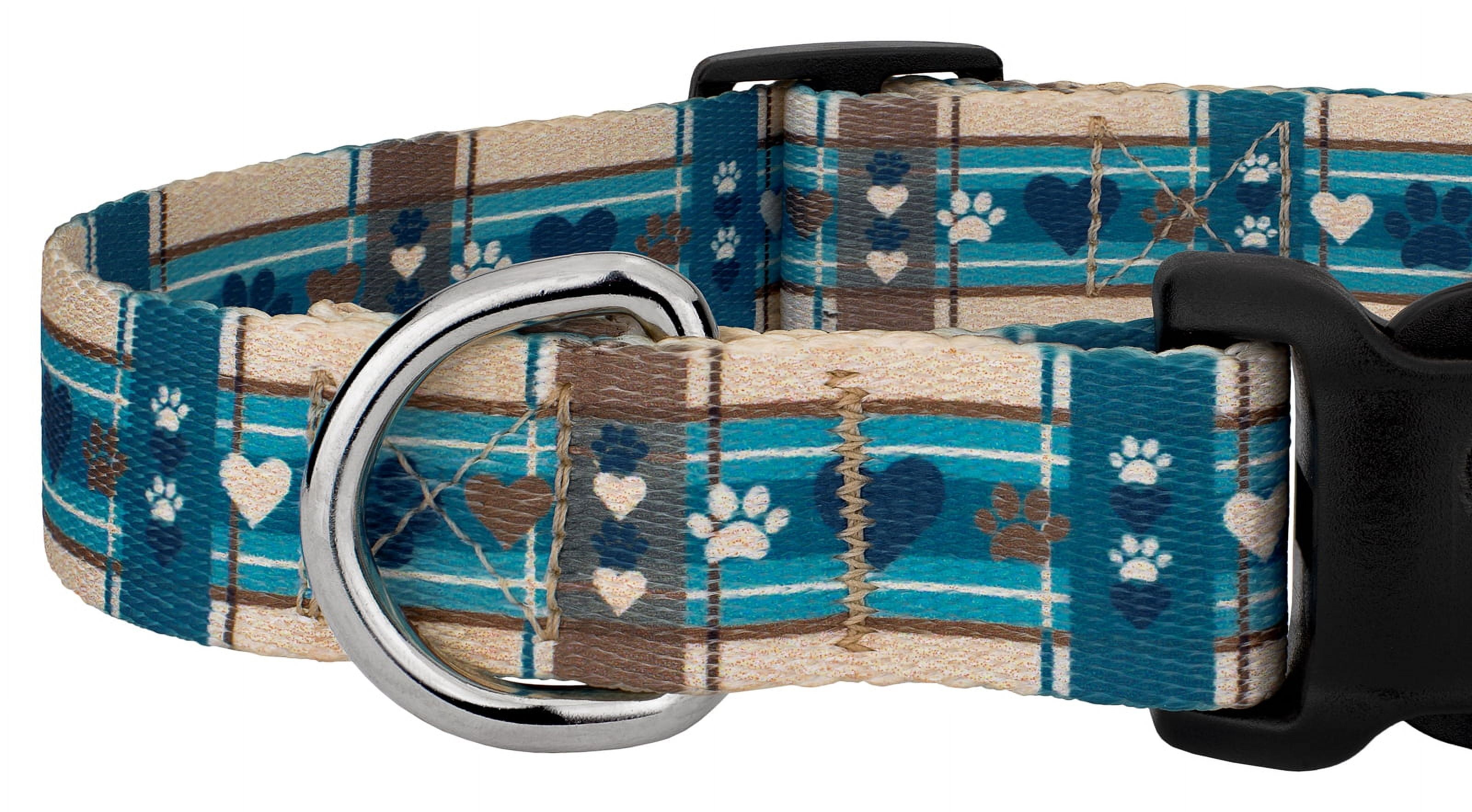 Country Brook Petz® Puppy Picnic Everyday Dog Collar and Leash, Small