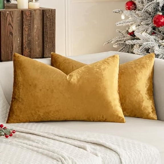 Eryueer Champagne Gold Luxurious Velvet Cushion Covers Soft Decorative Square Throw Pillow Case Pillowcases for Livingroom Sofa Bedroom with Invisible Zipper 16"x24" 40cm x 60cm 2 Pieces
