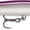 Purple Clown, variant on Rapala Down Deep Husky Jerk 10