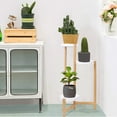 thumbnail image 5 of Wisfor 3 Tier Plant Stand Bamboo Flower Ladder Shelf Rack Indoor Outdoor with Plastic Tray, 31.5in, 5 of 11