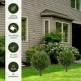 thumbnail image 6 of Artificial Cypress Topiary Trees for Outdoors, 19" Artificial Cedar Topiary Ball Trees with Ground Spike, UV Resistant Fake Shrubs Bushes Faux Plants for Front Porch Garden Home Decor (1 Pcs), 6 of 6