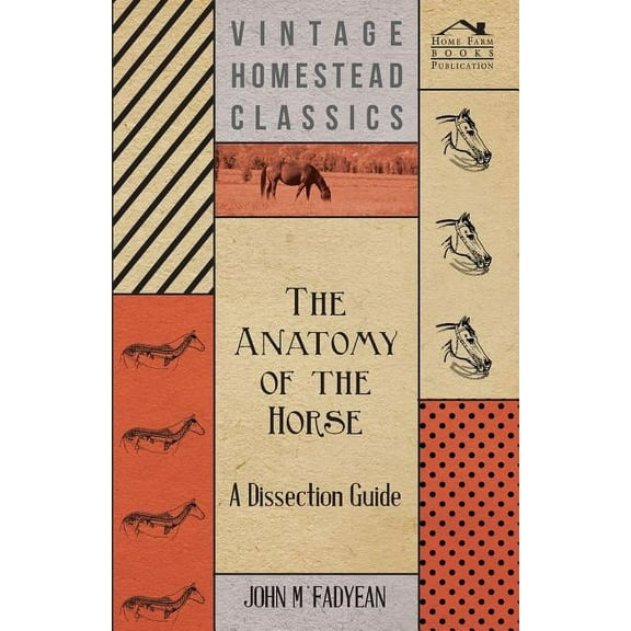 The Anatomy of the Horse - A Dissection Guide (Paperback)