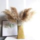 thumbnail image 2 of 30/50 piezas de hierba de pampa, 50 22.8 in de hierba de pampa natural para decoración del hogar, ramo de hierba de flores de caña seca, decoración floral artificial, decoración de boda, 30 unidades, 2 of 5